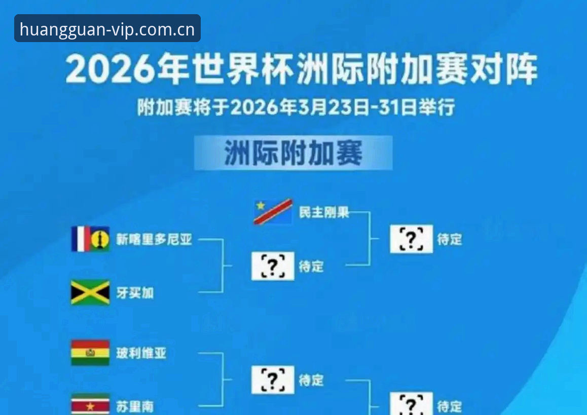 U17世界杯赛事追踪完整指南：从抽签分组到现场观赛全流程
